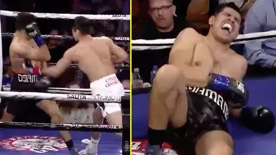 Boxe