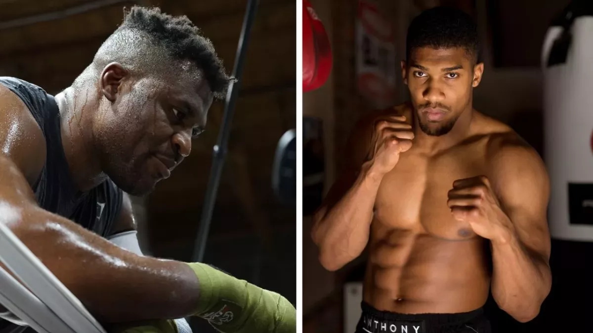 Francis Ngannou est donné perdant par les bookmakers pour son combat contre Joshua. 