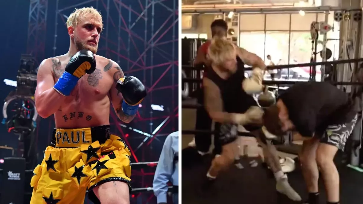 jake Paul a envoyé au tapis Adin Ross, un streameur venu le d"fier en boxe anglaise. 