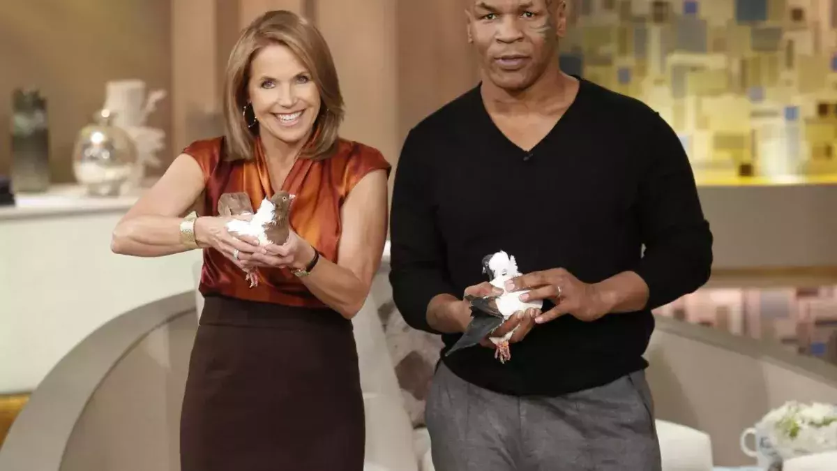 Mike Tyson voue une passion invétérée pour les pigeons. 