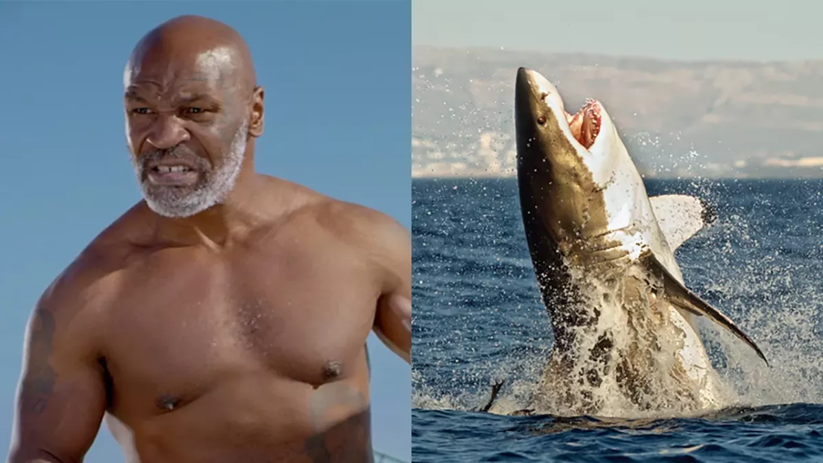 Mike Tyson vs Requin
