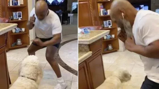 Mike Tyson