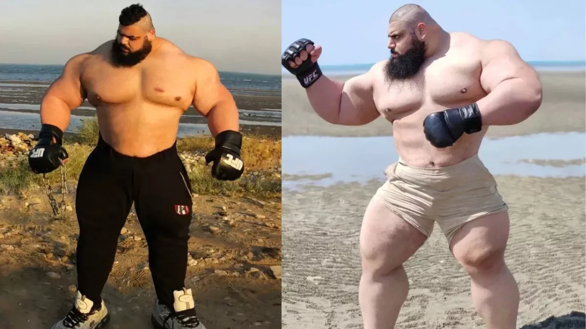 Sajad Gharibi