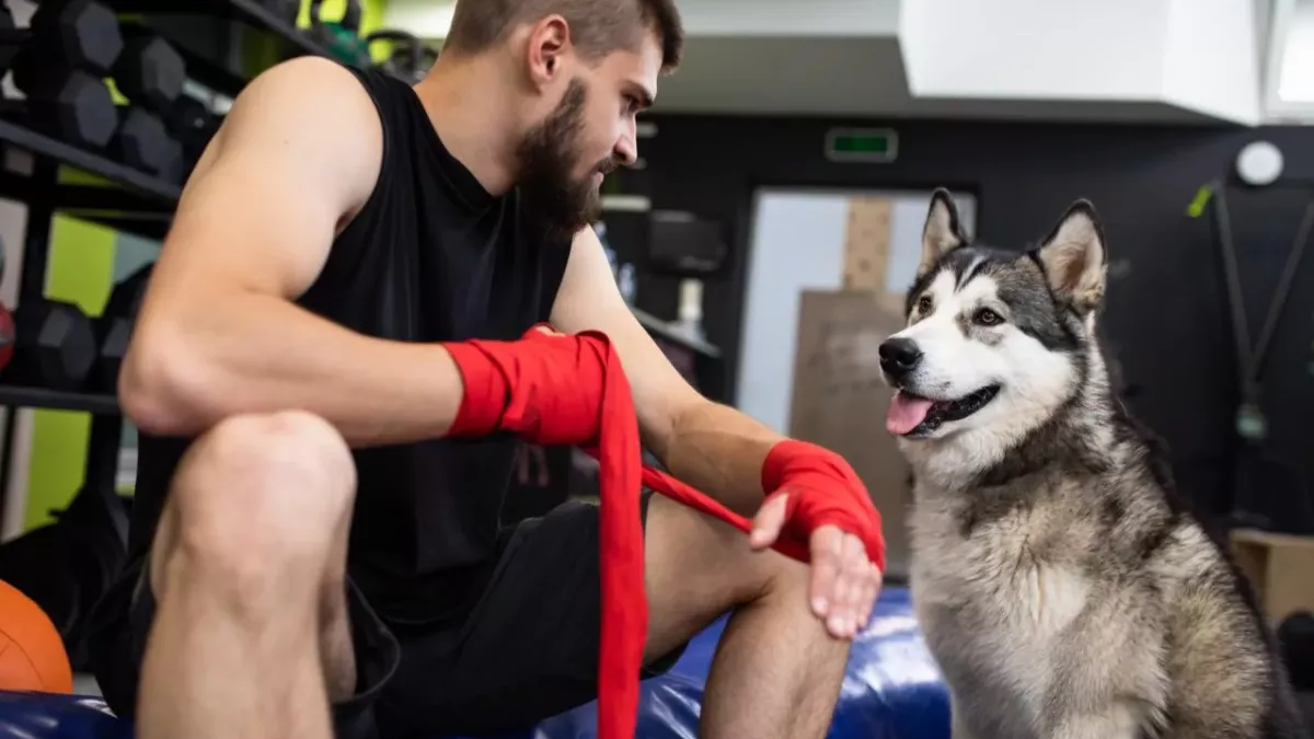 Un boxeur et son chien 