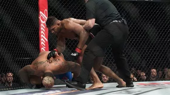 Alistair Overeem vs Mark Hunt