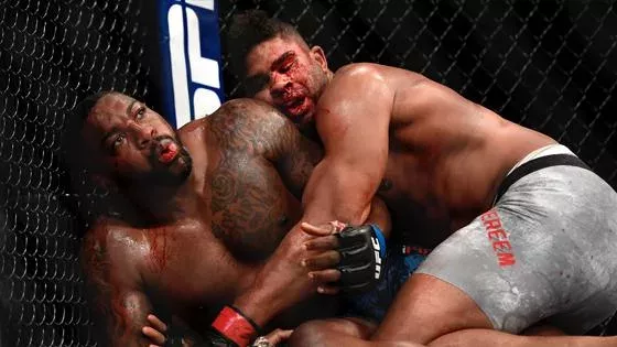 Alistair Overeem vs Walt Harris