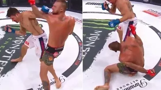 Bellator 229