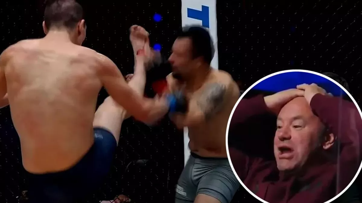 L'énorme KO de la semaine à l'UFC 