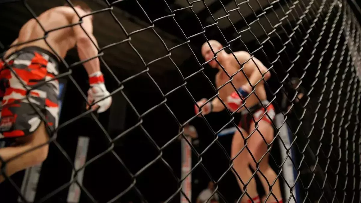 Les combats de MMA se déroule le plus souvent dans une cage. 