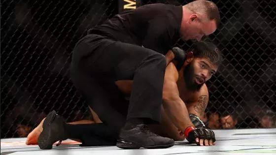 UFC 247 : Justin Tafa vs Juan Adams