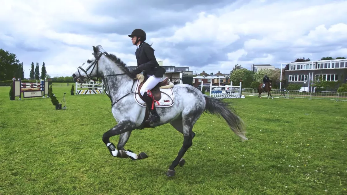 Les exercices de musculation pour progresser en équitation