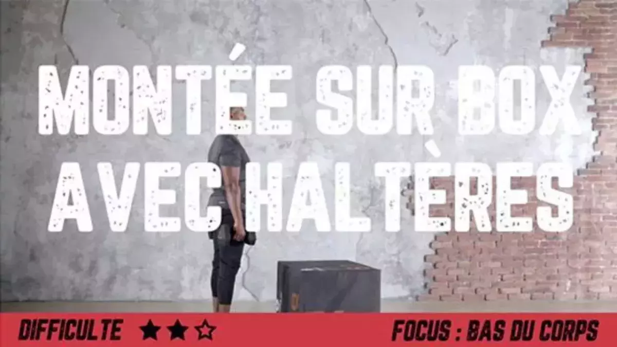 Montée sur box avec haltères : mouvements et positions