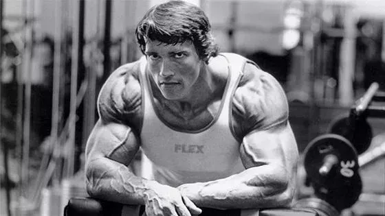 Arnold Schwarzenegger jeune