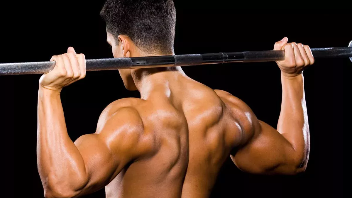 Dos musclé