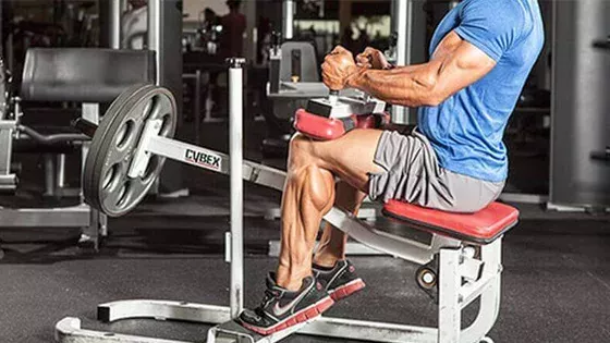 Le guide ultime de l'entraînement des mollets, pour ceux qui en ont marre des jambes de coq