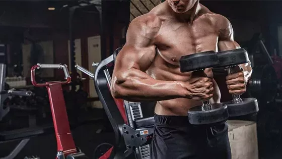 Les meilleurs exercices avec haltères pour muscler vos pecs !