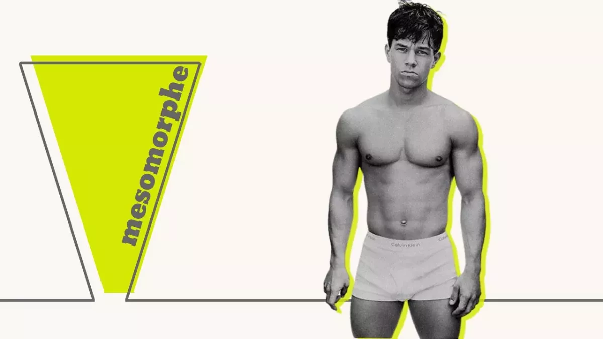 Mésomorphe musculation : comment s'entrainer ? Programme, exercice...