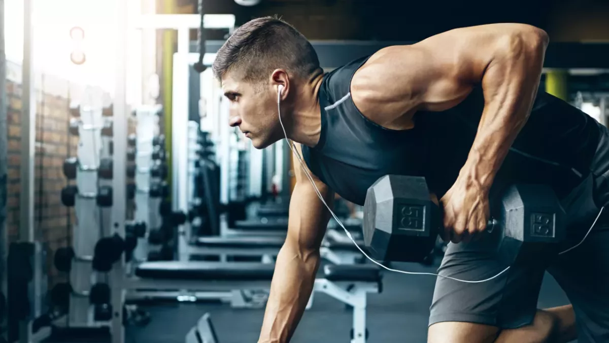 Musculation biceps 