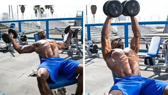 Un programme de musculation pour travailler le haut du corps