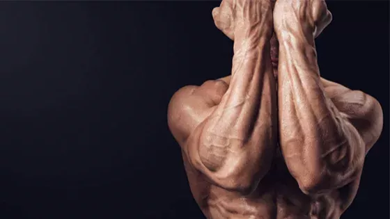 Une séance de musculation pour se forger des avant-bras en béton