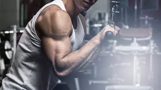 Une simple variation pour brûler vos triceps by Paul Sklar