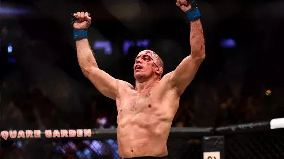 Georges St-Pierre