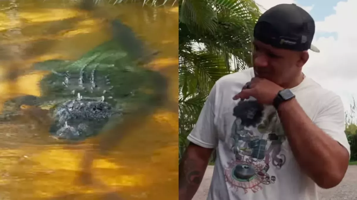 Gilbert Burns et un alligator  