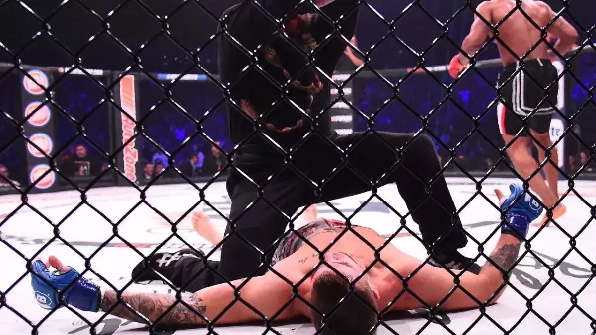 Kamelancien compte 3 combats professionnels de MMA à son actif. 