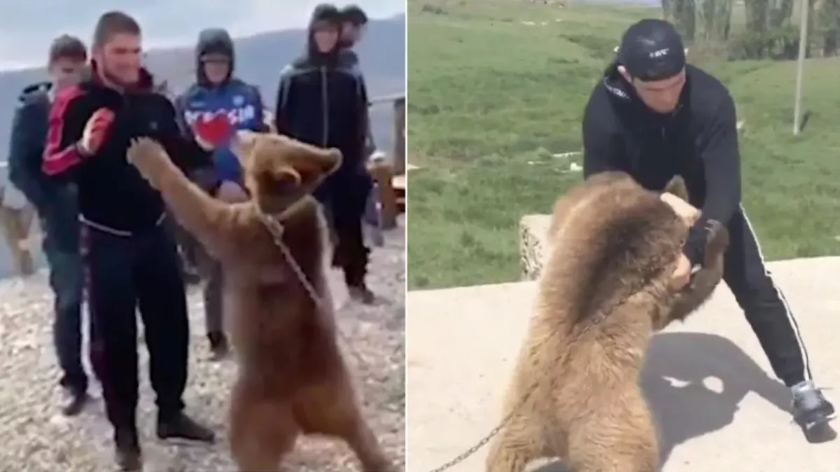 Khabib Nurmagomedov inquiété par une association de défense des animaux pour s'être battu contre des ours
