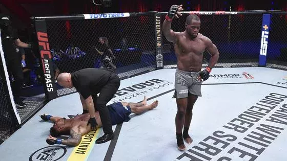 Le KO de l'année à l'UFC sur un headkick fatal