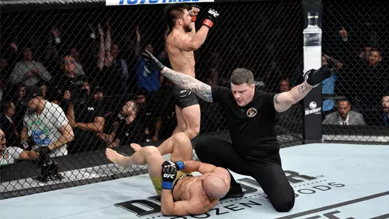 UFC 238