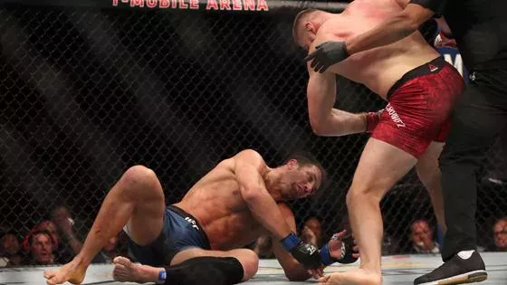 UFC 239 : Jan Blachowicz vs Luke Rockhold