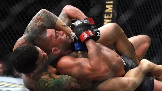UFC 246