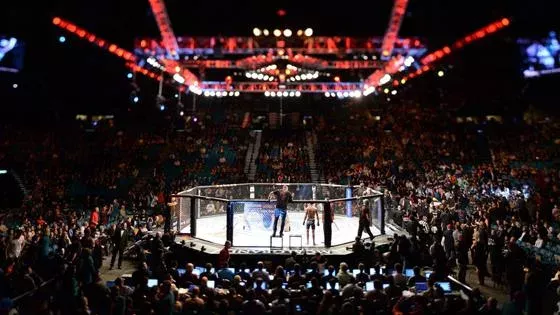 UFC octogone