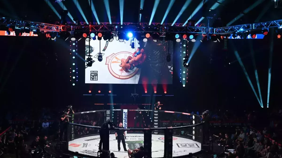 Une cage de MMA. 