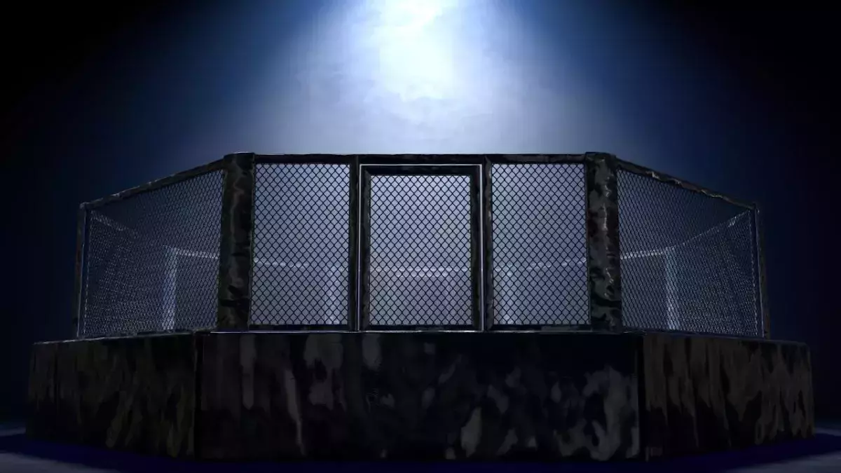Une cage de MMA 