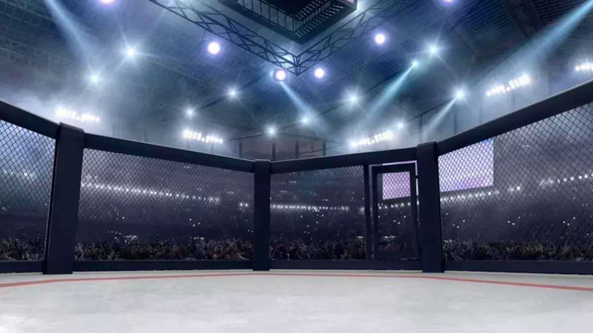 Une cage de MMA 