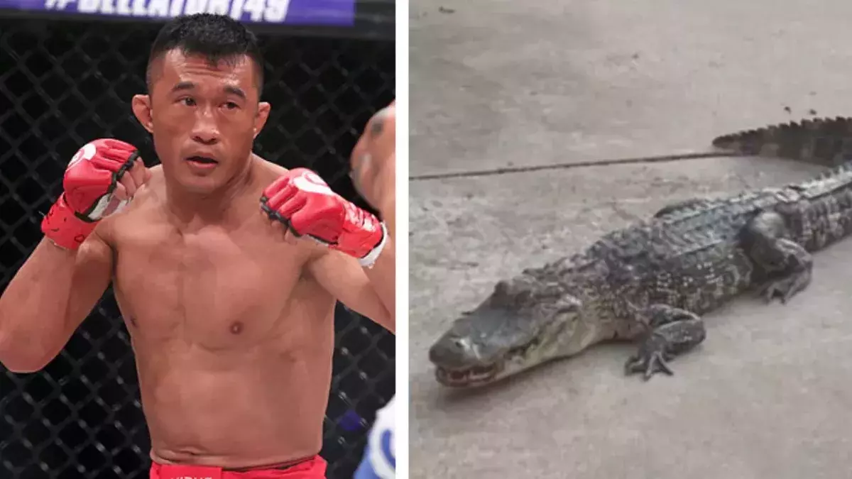 Mike Trinh a neutralisé un alligator qui se trouvait sur sa propriété. 