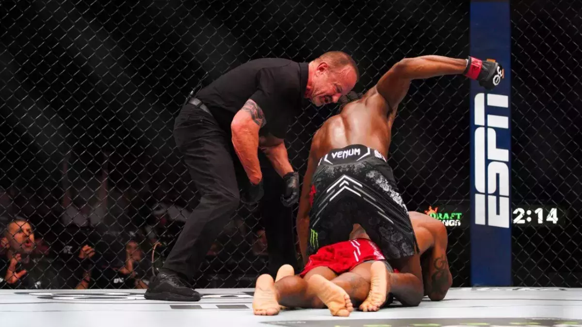 Arbitre de l'UFC 