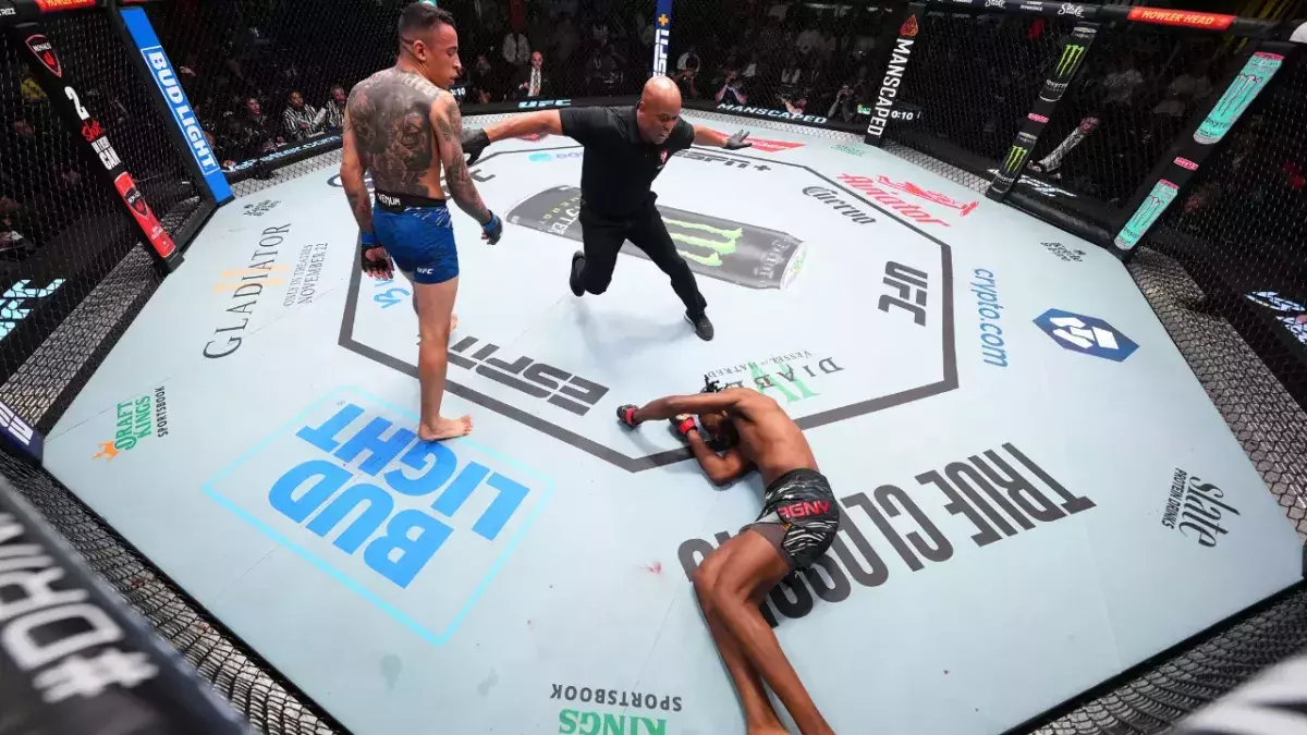 Cage de l'UFC