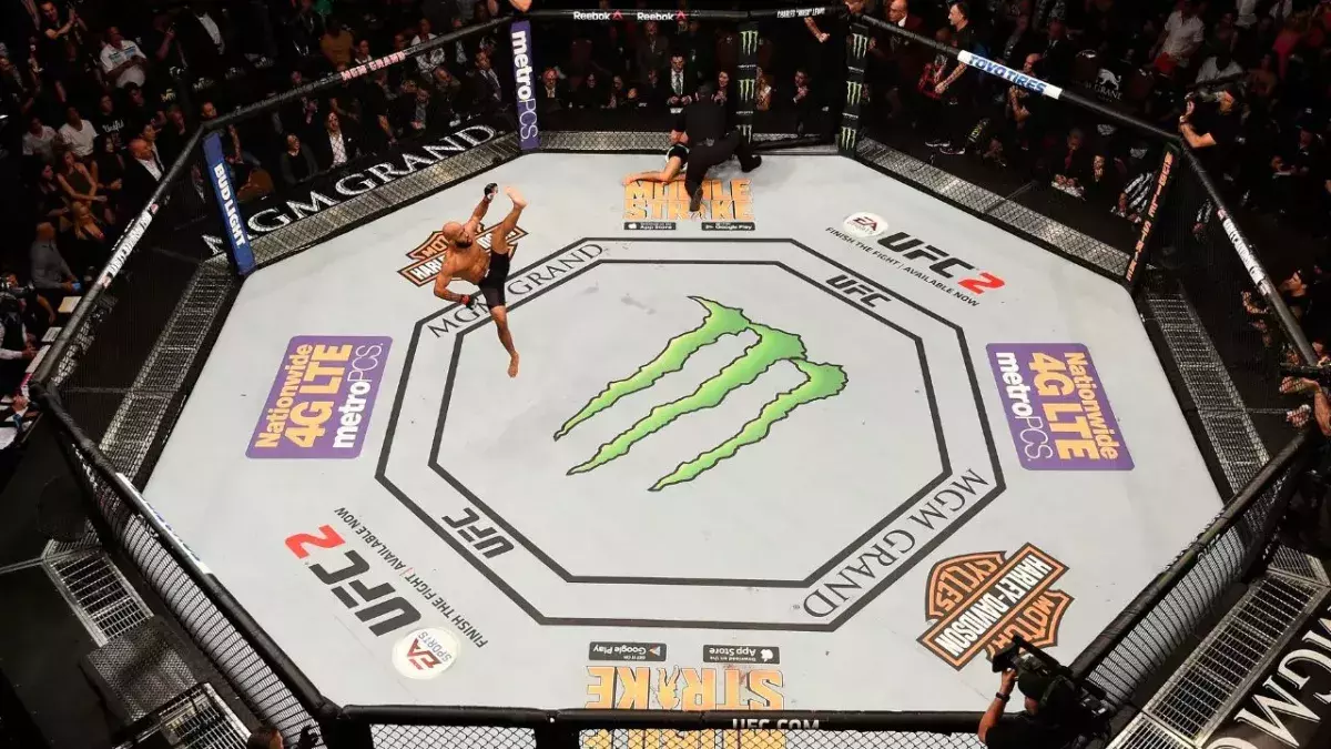 Demetrious Johnson dans l'octogone de l'UFC. 