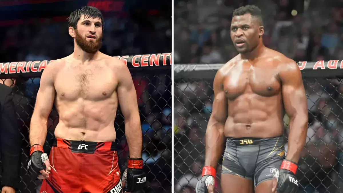 Magomed Ankalaev et Francis Ngannou dans la cage