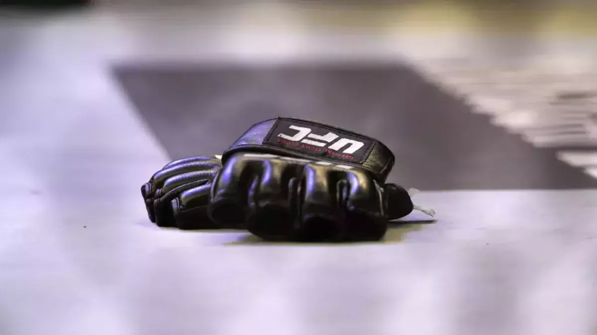 Mitaines UFC
