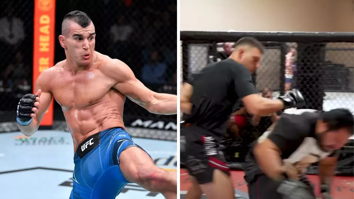 Natan Levy est un combattant israélien signé à l'UFC. 