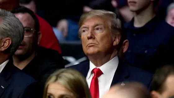 UFC 244 : Donald Trump