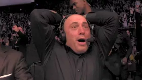 UFC : Joe Rogan