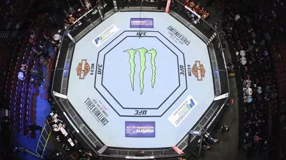 UFC Octogon