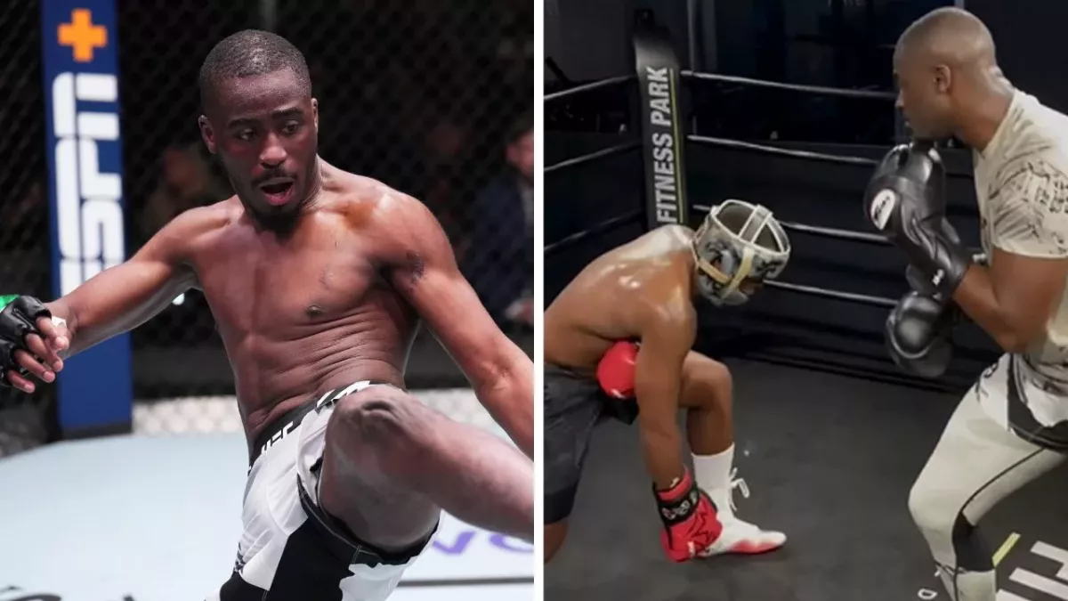 William Gomis, combattant de l'UFC, a mis KO le célèbre influenceur français Boris Becker. 
