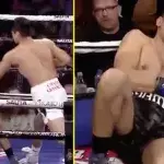 Boxe