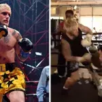 jake Paul a envoyé au tapis Adin Ross, un streameur venu le d"fier en boxe anglaise. 